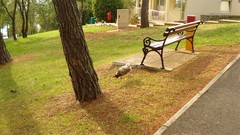 Landscapes croatia cityscapes