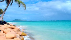 Landscapes crystals palm trees Beaches