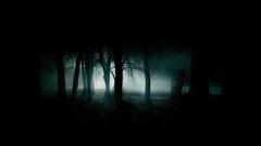 Landscapes dark forests