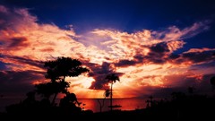 Landscapes darkness nature clouds sky light orange palm trees