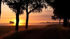 Landscapes darkness nature Trees sun evening