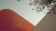 Landscapes desert nature