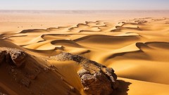 Landscapes deserts sand dunes