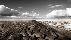 Landscapes deserts selective coloring