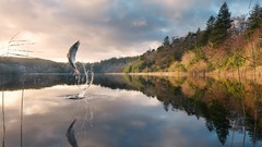 Landscapes design fishing artwork Viral