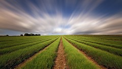 Landscapes digital art