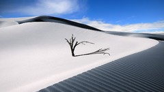 Landscapes digital art deserts