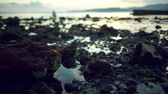 Landscapes dirt Seaside rocks