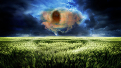 Landscapes Disney Company The