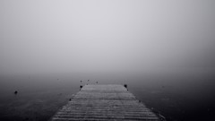 Landscapes dock grayscale