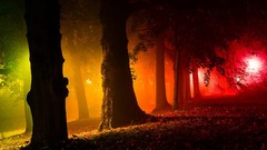 Landscapes dreams nature Trees red Green colors paths golden 