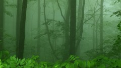 Landscapes Drive morning Virginia national park skylines 