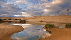 Landscapes dunes Oregon forests National
