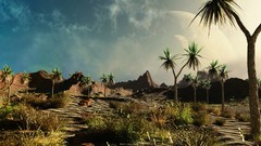 Landscapes dunes palm trees