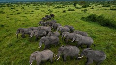 Landscapes Earth elephants Parks queen national geographic 