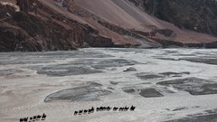 Landscapes Earth national geographic crossing