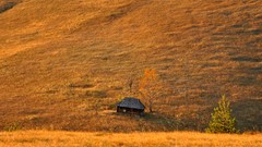 Landscapes Europe serbia houses fields