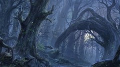 Landscapes fantasy forests artwork