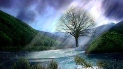 Landscapes fantasy Trees rivers