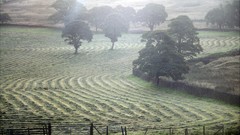 Landscapes farm farmland