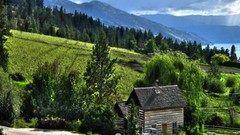 Landscapes farm life