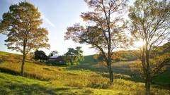 Landscapes farm Ohio golden