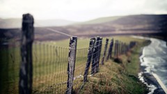 Landscapes fences