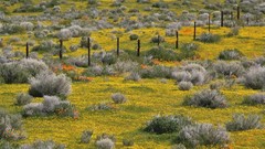 Landscapes fences grass fields