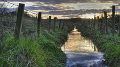 Landscapes fences streams nature