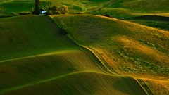 Landscapes fields hills