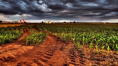Landscapes fields overcast HDR