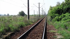 Landscapes fields railroad tracks