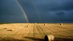 Landscapes fields rainbows