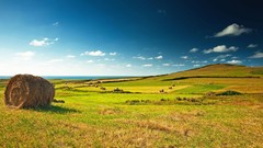 Landscapes fields skylines farms