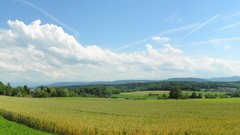Landscapes fields skyscapes