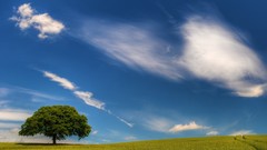 Landscapes fields skyscapes