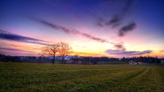 Landscapes fields skyscapes