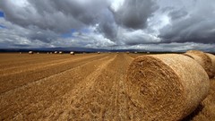 Landscapes fields skyscapes