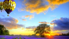 Landscapes fields sunlight hot air balloons