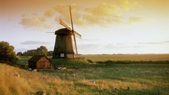 Landscapes fields windmills