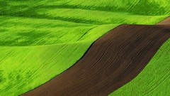 Landscapes fields windows 8