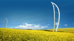 Landscapes Flowers fields power lines skyscapes