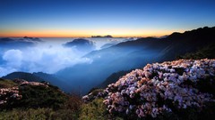 Landscapes Flowers fog nature Mountains clouds hills morning 