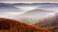Landscapes Flowers hills