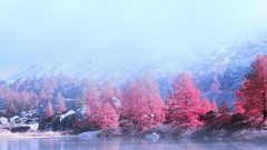 Landscapes Flowers Mountains clouds pink flowers lakes