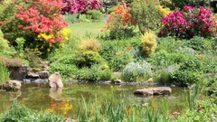 Landscapes Flowers nature