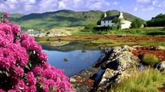 Landscapes Flowers nature