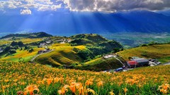 Landscapes Flowers nature grass yellow Mountains clouds hills 
