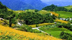 Landscapes Flowers nature hills Taiwan roads paths hillside 