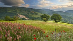 Landscapes Flowers nature Mountains clouds meadows spring Italy 